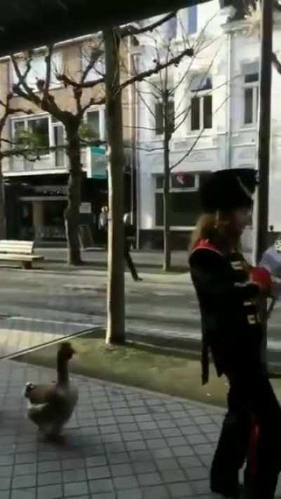 Парад самых злых мудил на свете