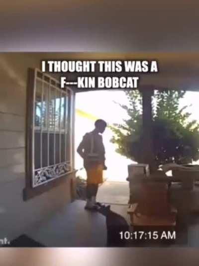 Cursed_MF_Fat_Cat_as_i_never_seen_before