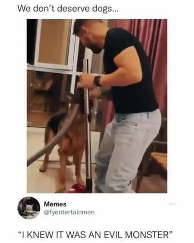 We don’t deserve dogs.