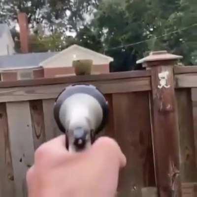 Trying to hit a pot first try