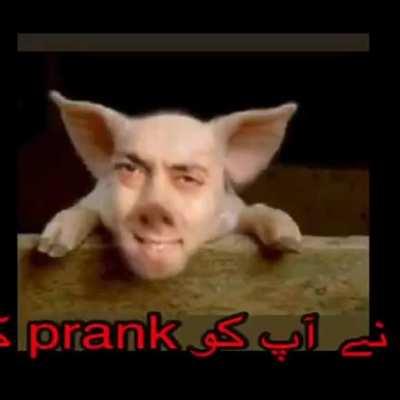 salman khan bhai 480p full video remember like share subscribe jai hind doston like if you agree