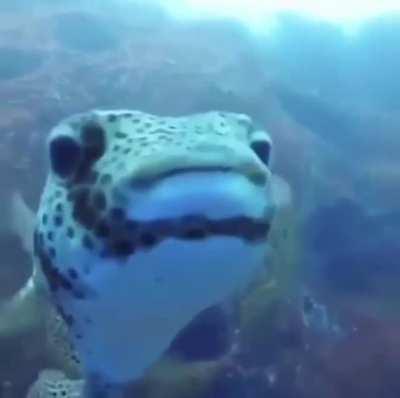 Здесь съёмка видео запрещена... Камеру вырубай!