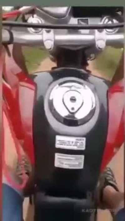 Running into a cow while doing wheelies