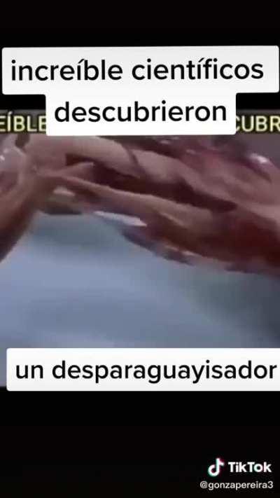 El desparaguayisador