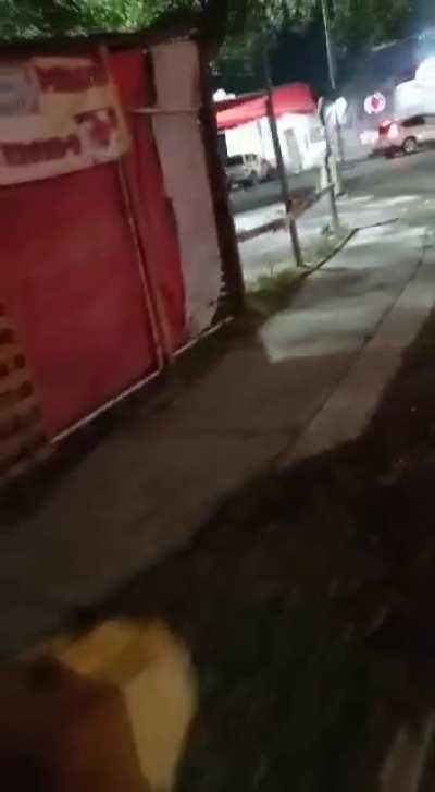 Adoro los finales felices