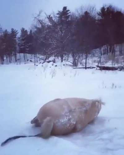 You see what I have to put up with every day?