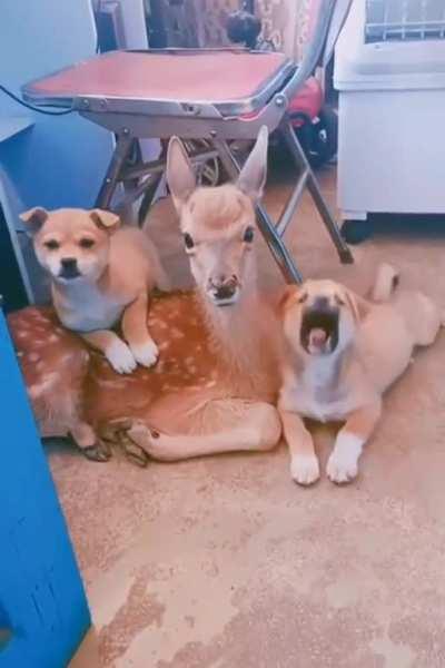 Please let him stay with us.