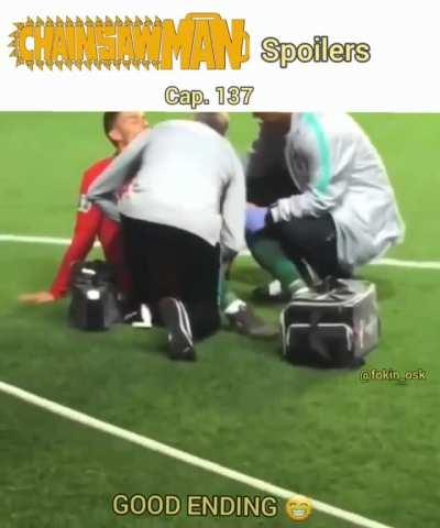 2 possible future for little denji 