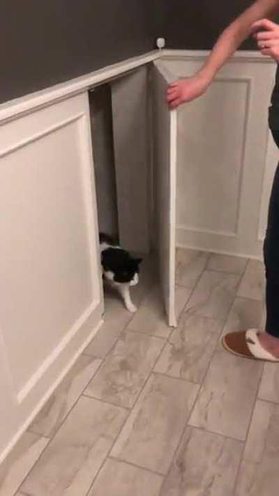 What a sweet surprise!