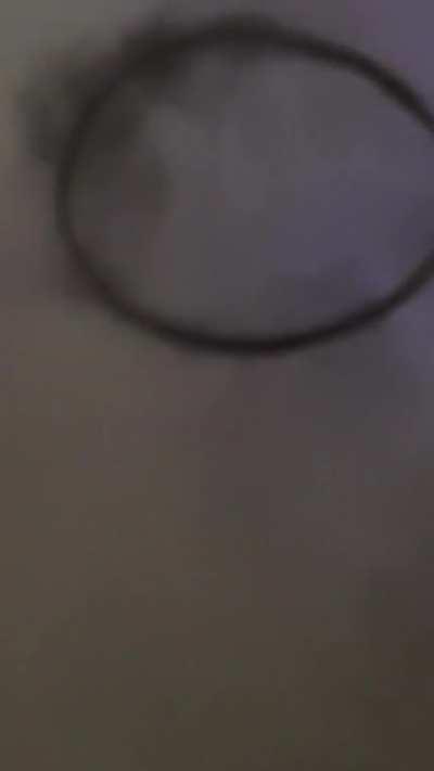 The birth of a treasure? Or some heavenly omen?!