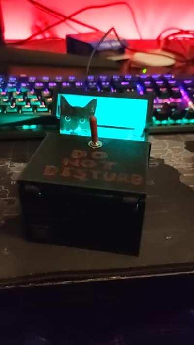 First *Completed* Arduino project, personalized useless box :)