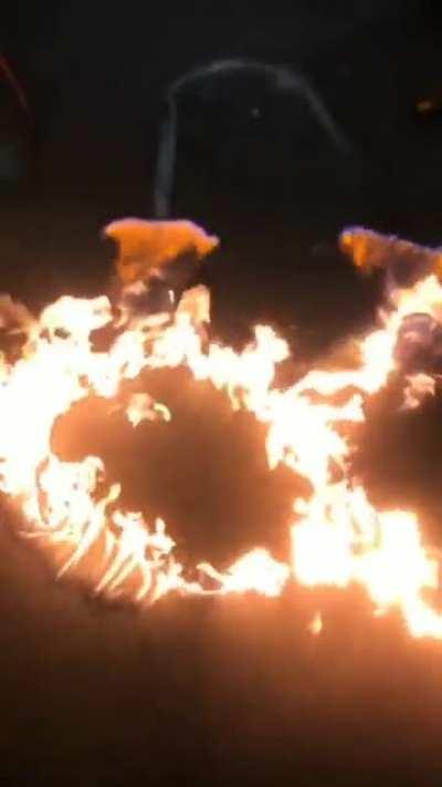 Pika inflamada foda-se