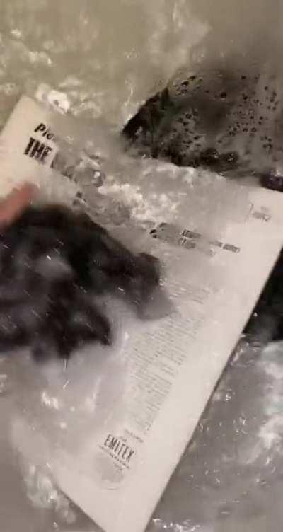 Had to clean this baby off