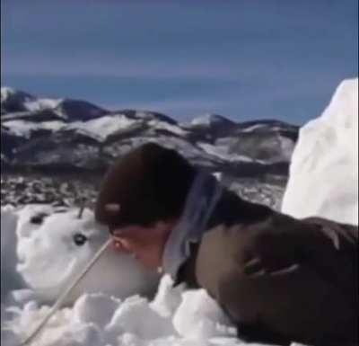 Снеговик дал отпор.