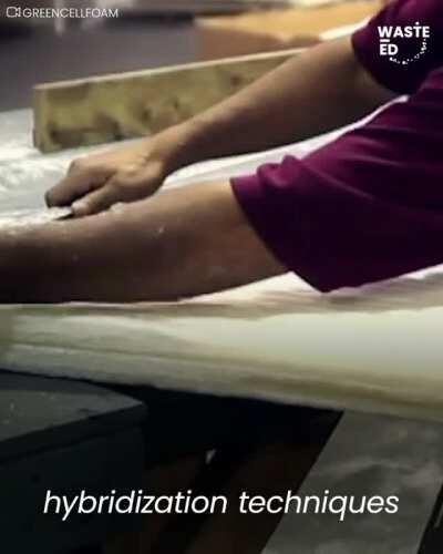 Ditch that plastic! Eco-friendly packaging is already here, and it doesn't pack landfills or pollute the ocean!