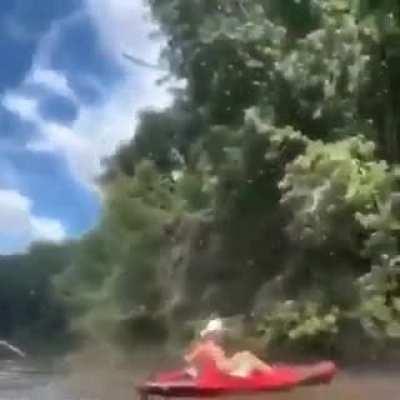 Got a real buzz out of this one