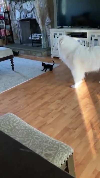 Smol void VS fluffy cloud