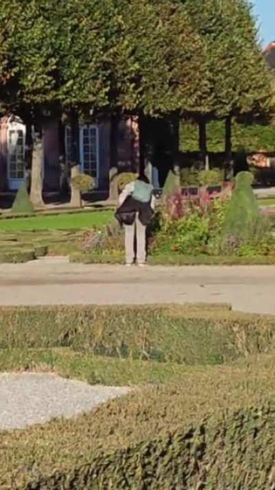 Keep seeing more & more people helping themselves to the flowers at my favourite castle garden instead of leaving them there for everybody to enjoy :( wait for the huge bouquet at the end