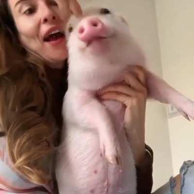 The snoot has been booped