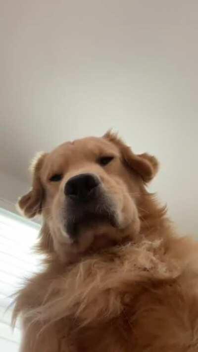 quarantine is boring.