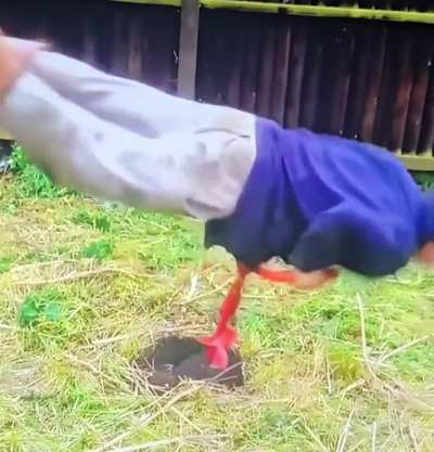 This ad definitely caught my attention pretty fast