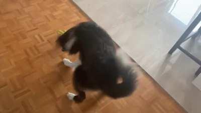 When nobody wants to play with me