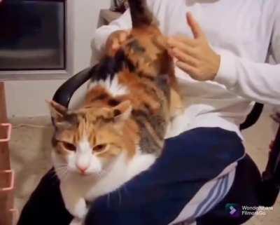 Don't stop, harder please!