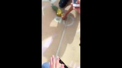 ABSoluTELY BrUtAL higH sChOOL fIGht