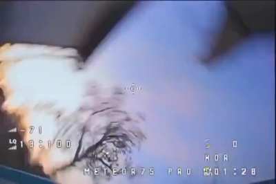 A Ukrainian cat neutralized a russian Meteor-75 drone