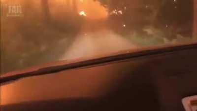 Intense Forest Fire Escape