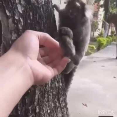 Excuse me, ma'am. You dropped this.