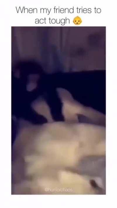 He deserve This Slap