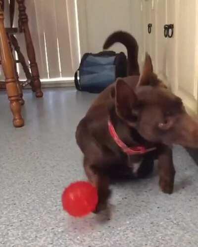 To catch the ball