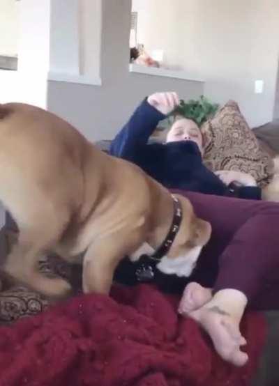 Be careful what you sniff