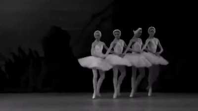 Танец маленьких лебедей (1991)