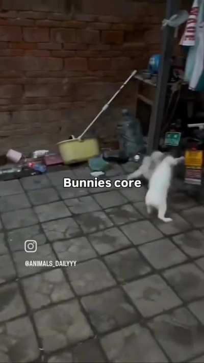 hippity hoppity, you have lost the game, there is no rhyme