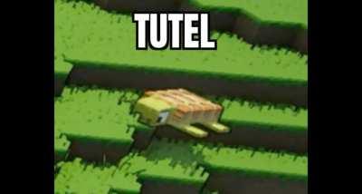 tutel in Minecraft leg