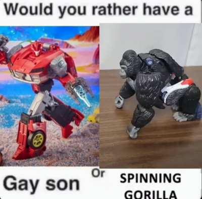 Gay Son, or Spinning Gorilla?