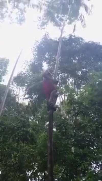 Talk about sweaty palms