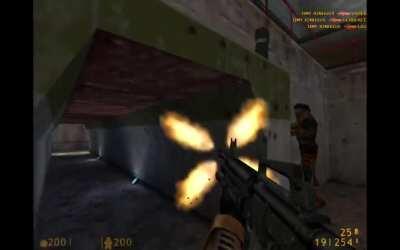 12 kills in 20 seconds on a custom Half Life 1 server