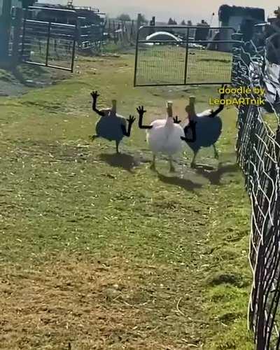 Yo, Our Bro is back!