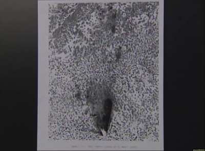 National Archives and Records Administration (NARA) has uploaded a video of the Roswell 1947