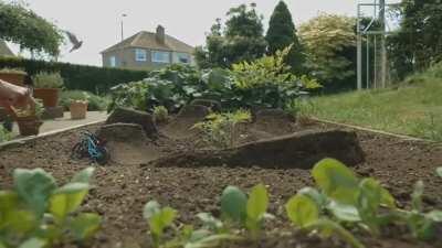 The New Santa Cruz Bicycles 5010 | Get Creative With Your Surroundings ( Творческий подход )