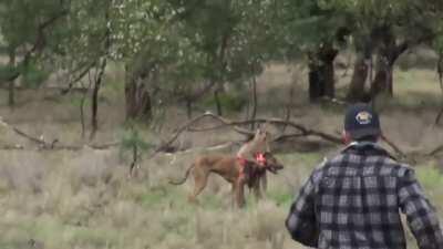 CCTV of ONEFOUR GM retaliating on RooStip 🦘