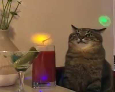 I have no idea what is happening