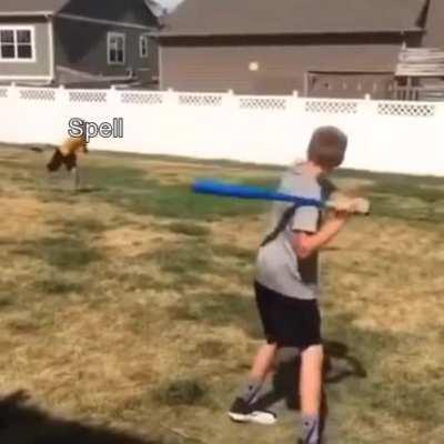 Why it pays to have a spellcaster in your random encounter