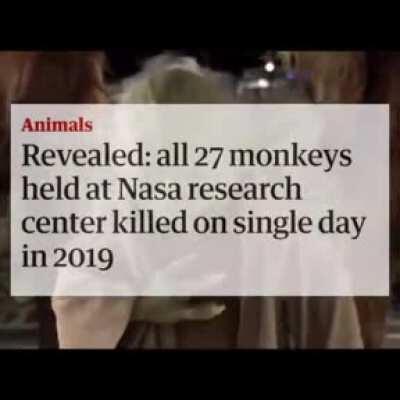 This is Master Obi Wan Kenobi. I regret to report that NASA has fallen with a dark shadow rising to take their place. This message is a warning and a reminder for any surviving chimps.