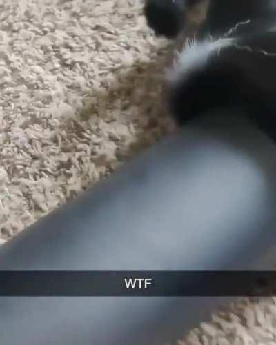 🤷🏻‍♀️ looked comfy