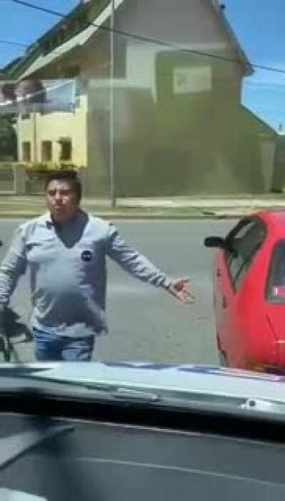 Asshole obstructing an ambulance with its sirens on