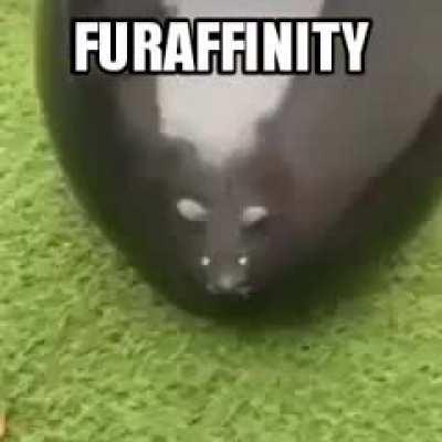 I literally stood up until like 6am and I had a nightmare where my dad nearly died.